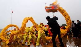 舞龙视频,探寻传统与现代交融的视觉盛宴